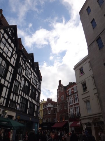 dsc04947.jpg