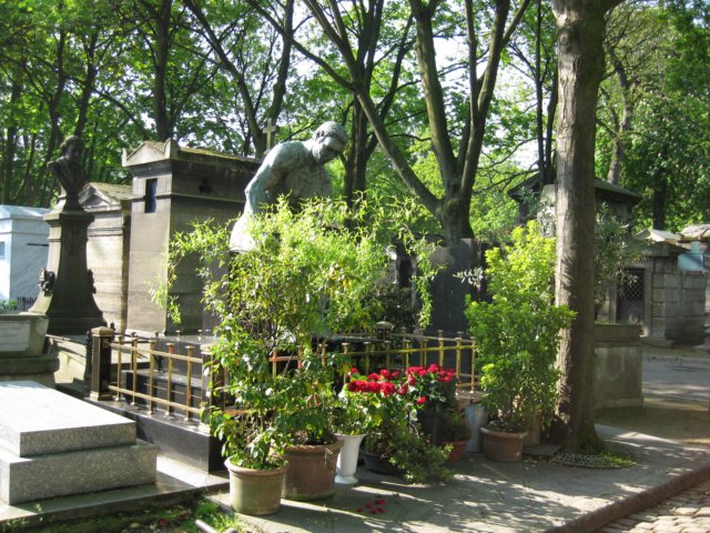 Photograph