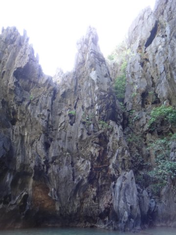 dsc08867.jpg