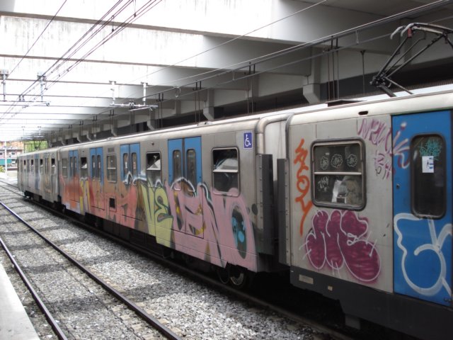 Photograph