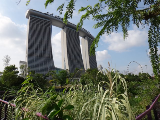 dsc09790.jpg
