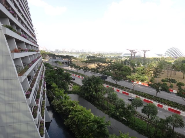 dsc09811.jpg