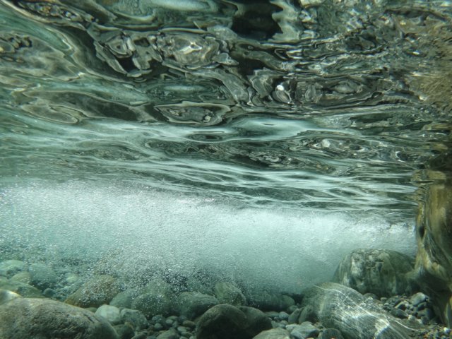 dsc02149.jpg
