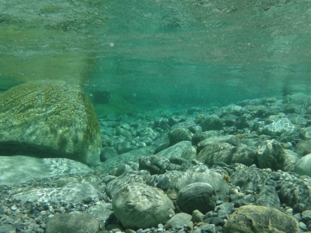 dsc02155.jpg