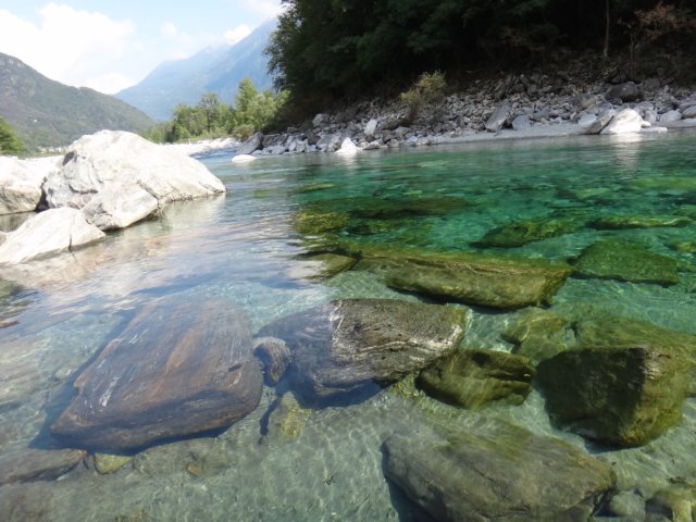 dsc02164.jpg