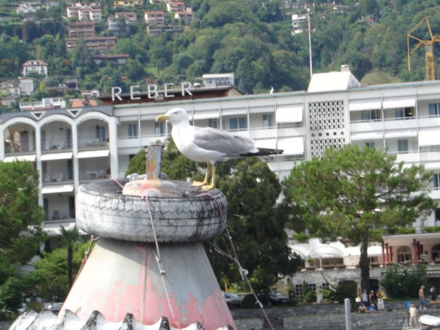 Photograph