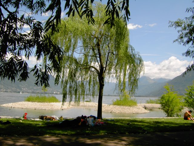 Photograph