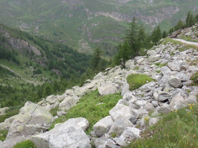 dsc03549.jpg