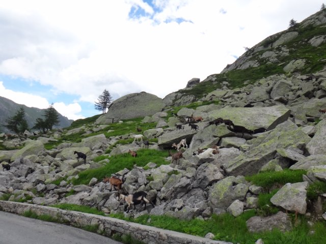 dsc03550.jpg