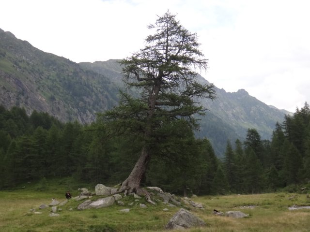 dsc03566.jpg