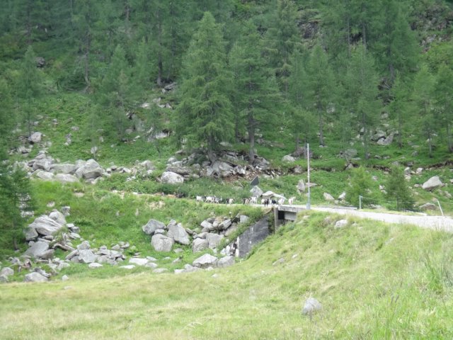 dsc03567.jpg
