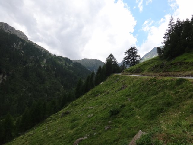 dsc03570.jpg