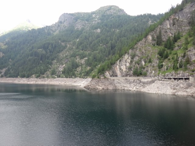 dsc03607.jpg