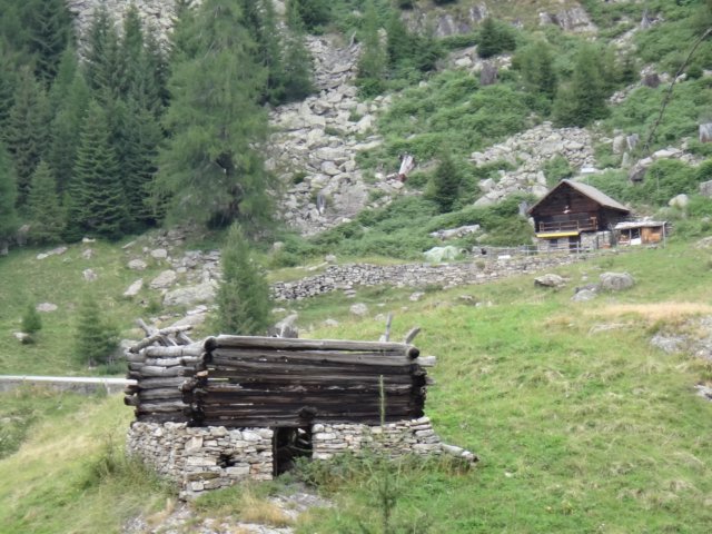 dsc03616.jpg