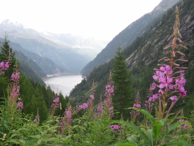 sambucostausee2.jpg