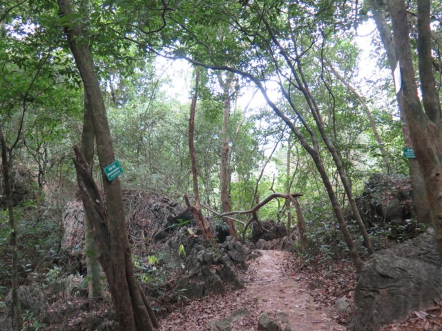 img_2828.jpg