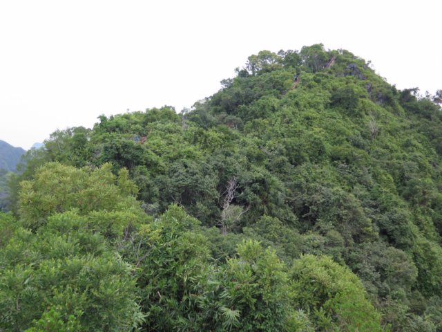 img_2832.jpg